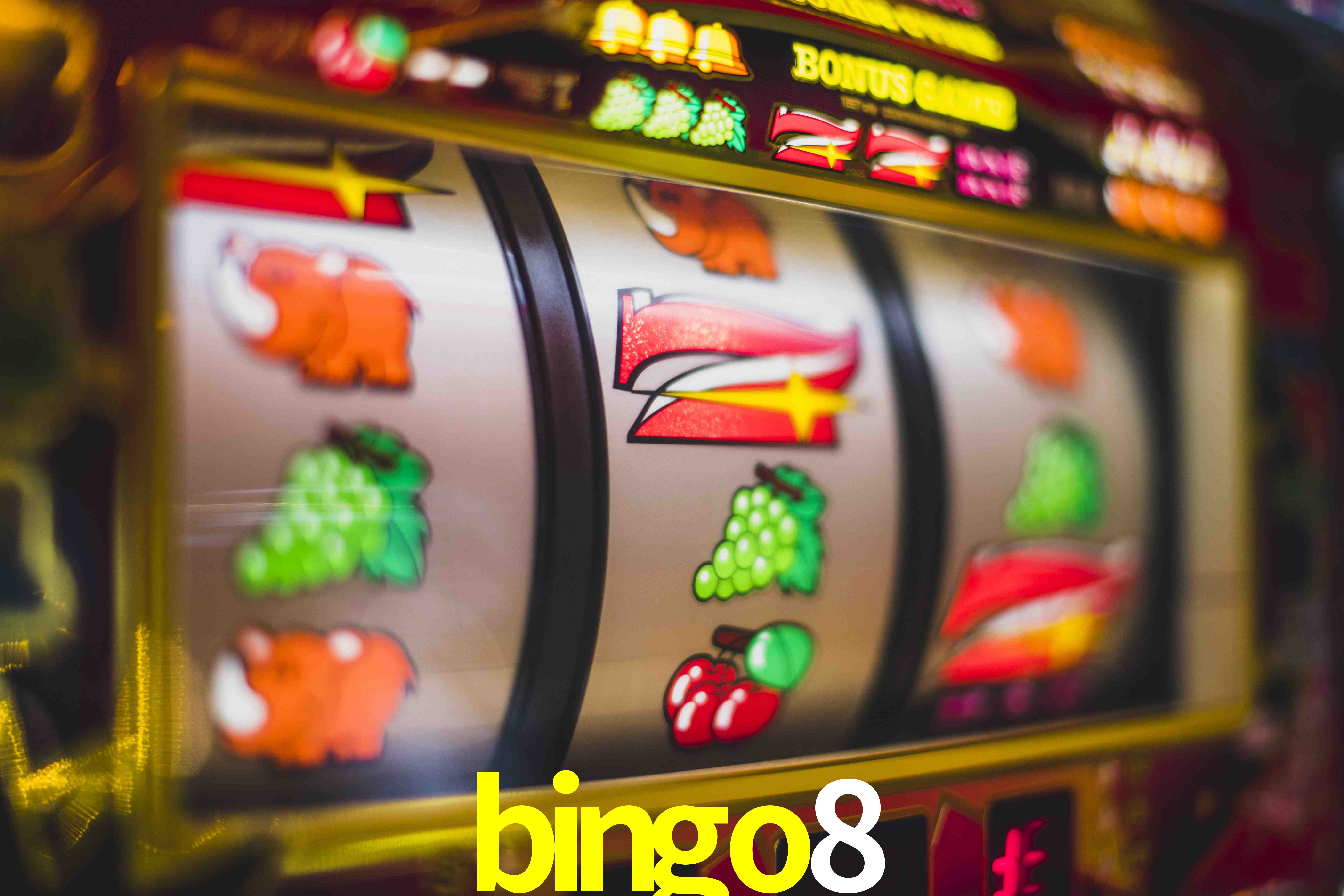 Live Casino bingo8