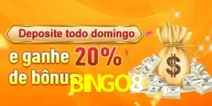 Promoções BINGO8